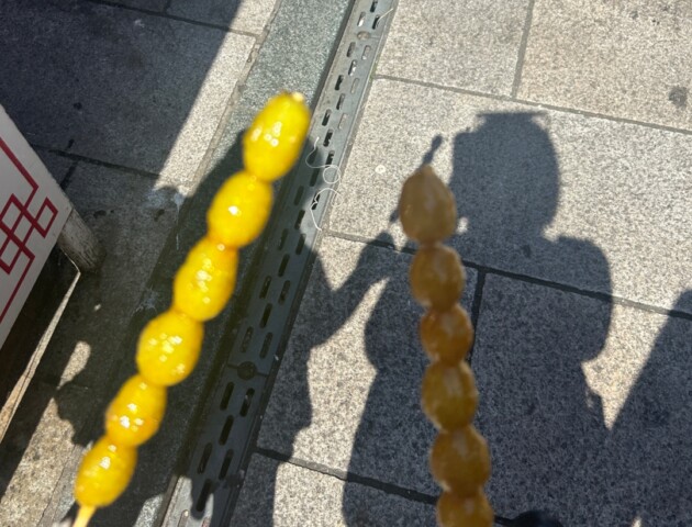 果たしてこれはマスカットなのか