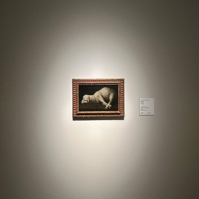 はじめて、美術館に恋をした。