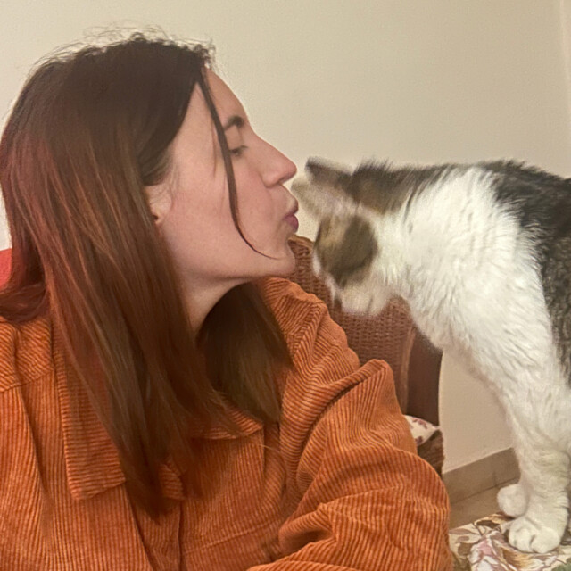 いちばん愛らしい再会