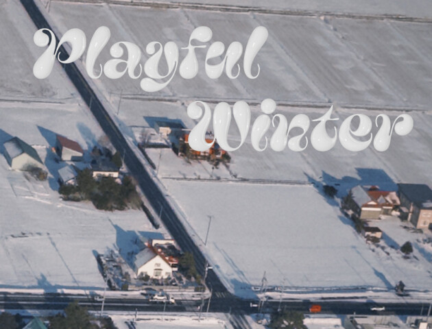 PLAYFUL WINTER_1