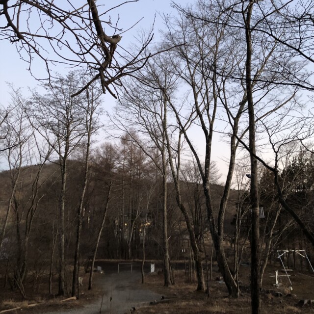 散歩しよ